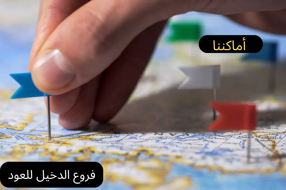 فروع الدخيل للعود