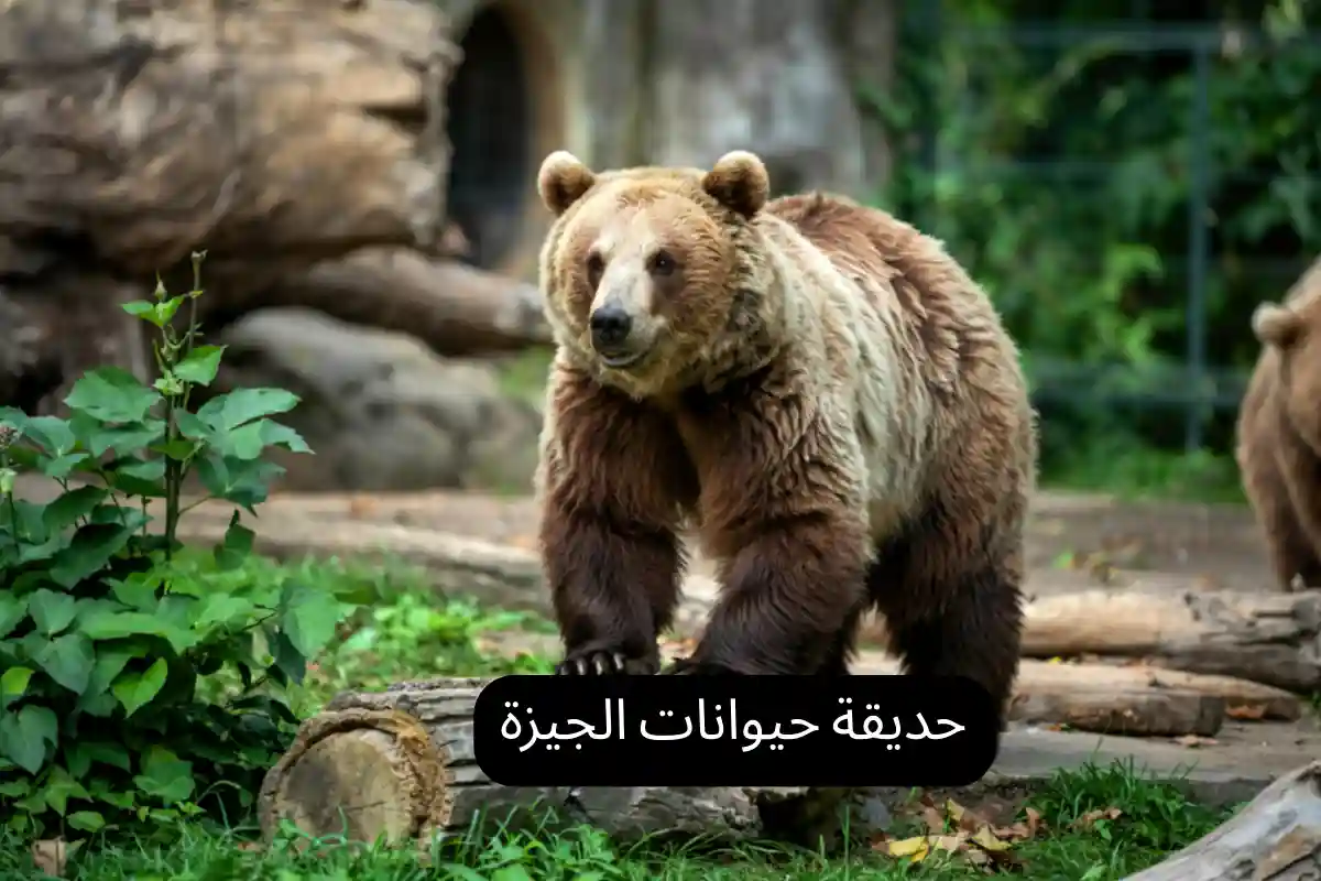 حديقة حيوانات الجيزة