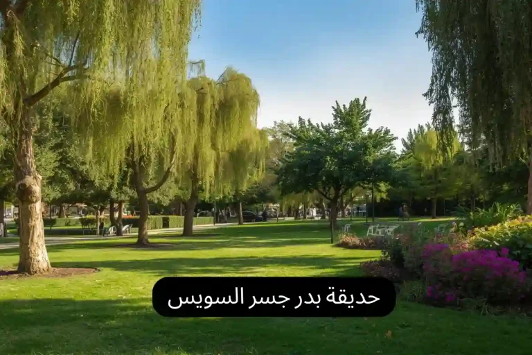 حديقة بدر جسر السويس