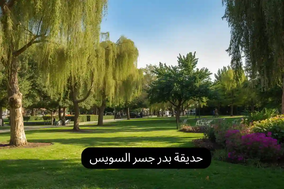 حديقة بدر جسر السويس
