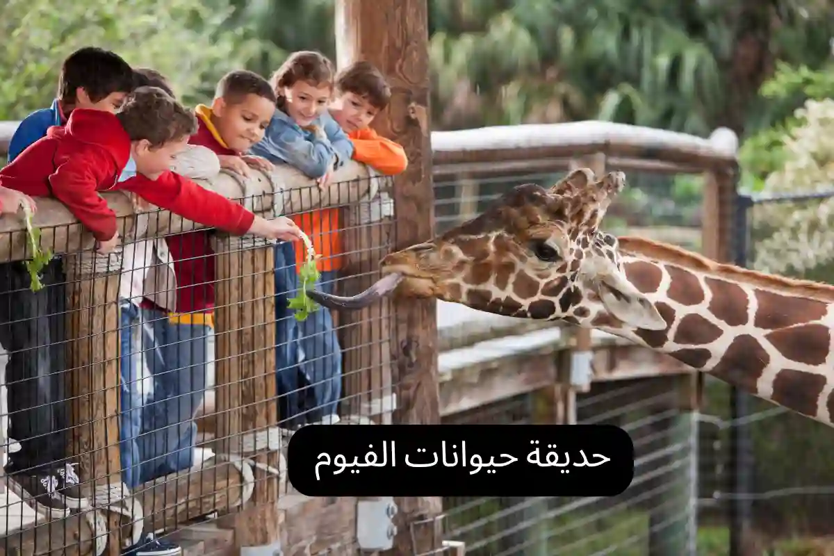 حديقة حيوانات الفيوم 