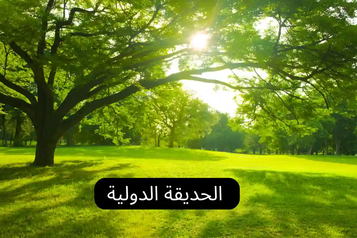 الحديقة الدولية