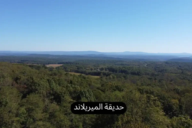 حديقة الميريلاند