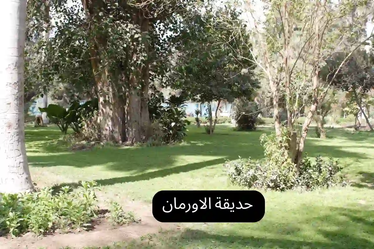 حديقة الاورمان