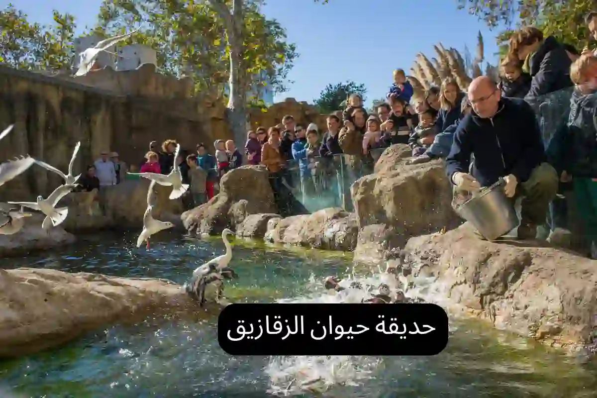 حديقة حيوان الزقازيق