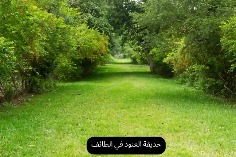حديقة العنود في الطائف