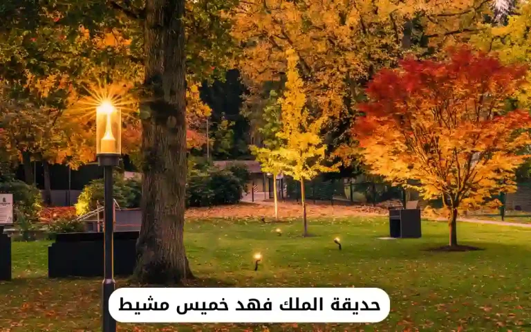 حديقة الملك فهد خميس مشيط