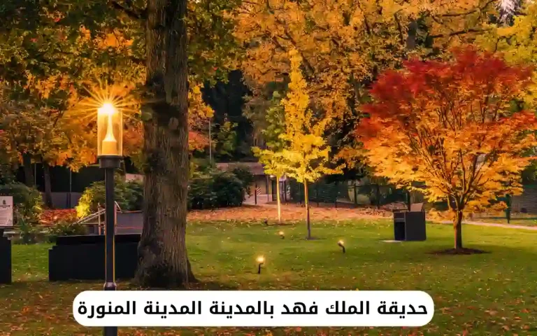 حديقة الملك فهد بالمدينة المدينة المنورة