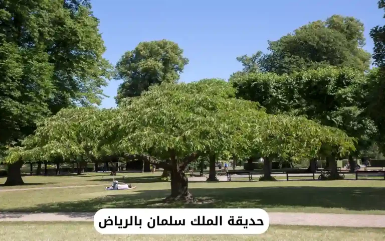 حديقة الملك سلمان بالرياض