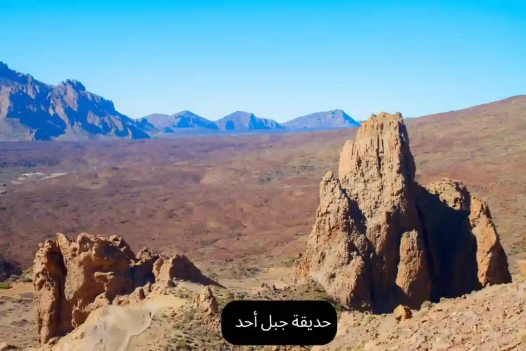 حديقة جبل أحد