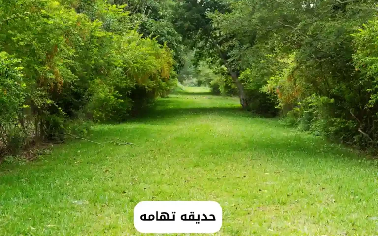 حديقه تهامه
