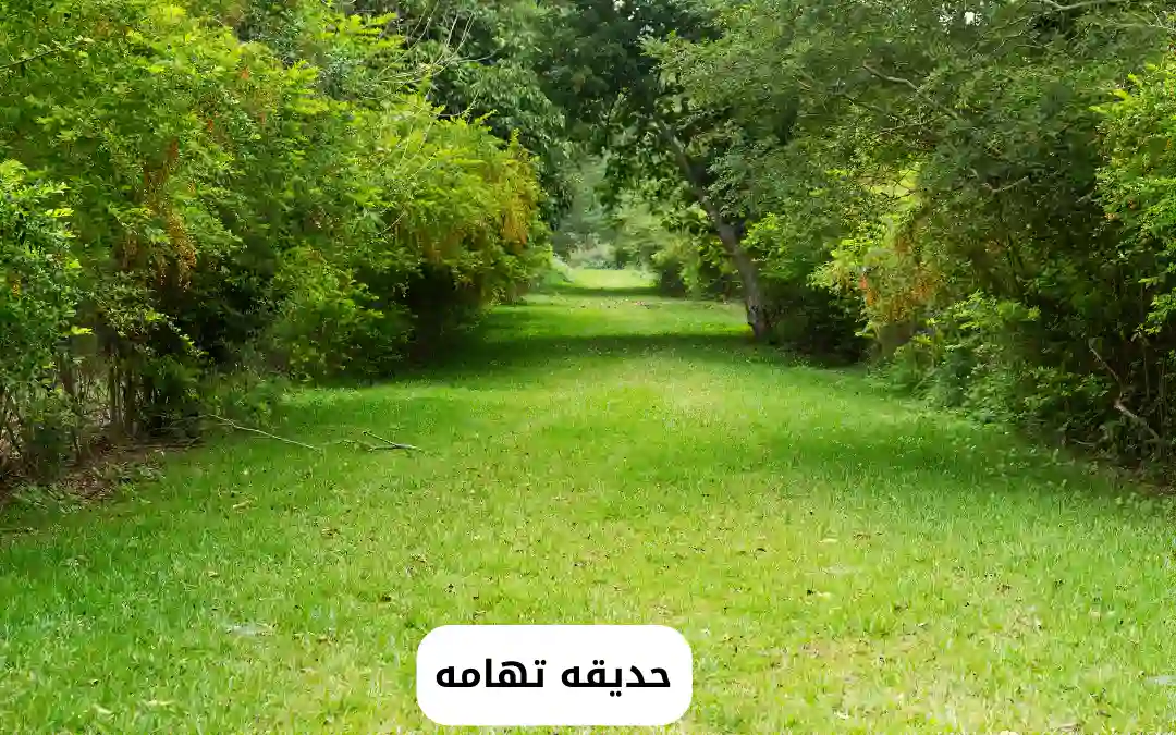 حديقه تهامه