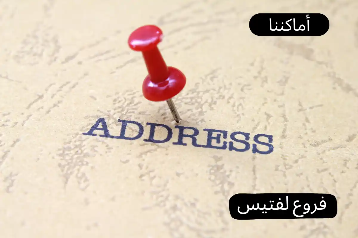 فروع لفتيس
